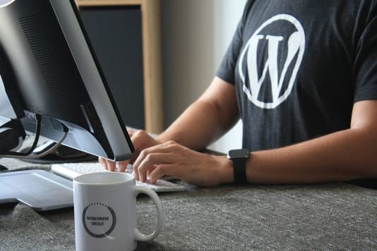 Продвижение сайта WordPress