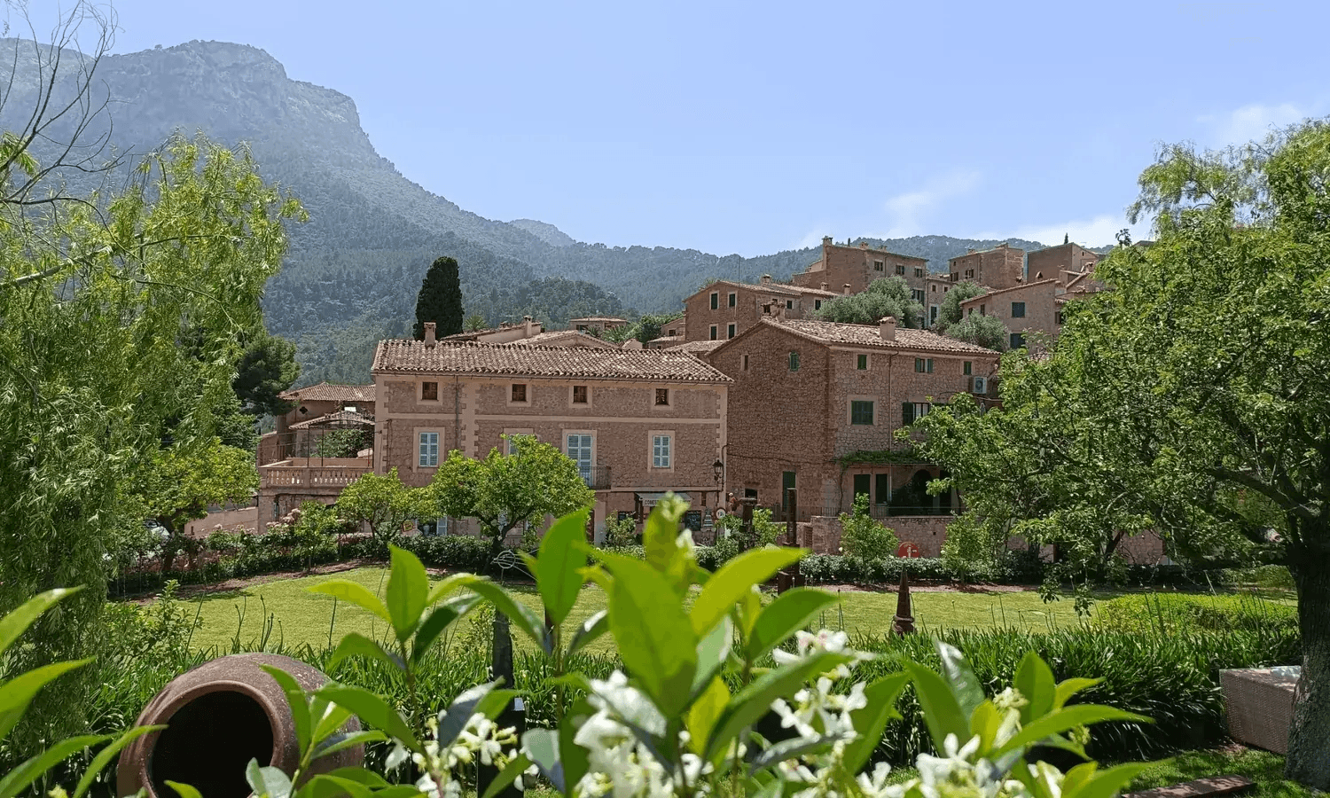 Зелёные холмы и горы на Майорке весной