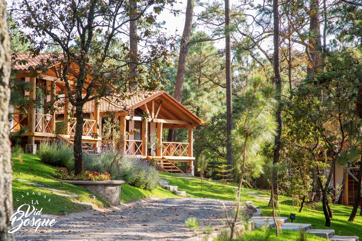 cabanas-de-lujo-jacuzzi-la-vid-del-bosque-tapalpa-jalisco-inicio