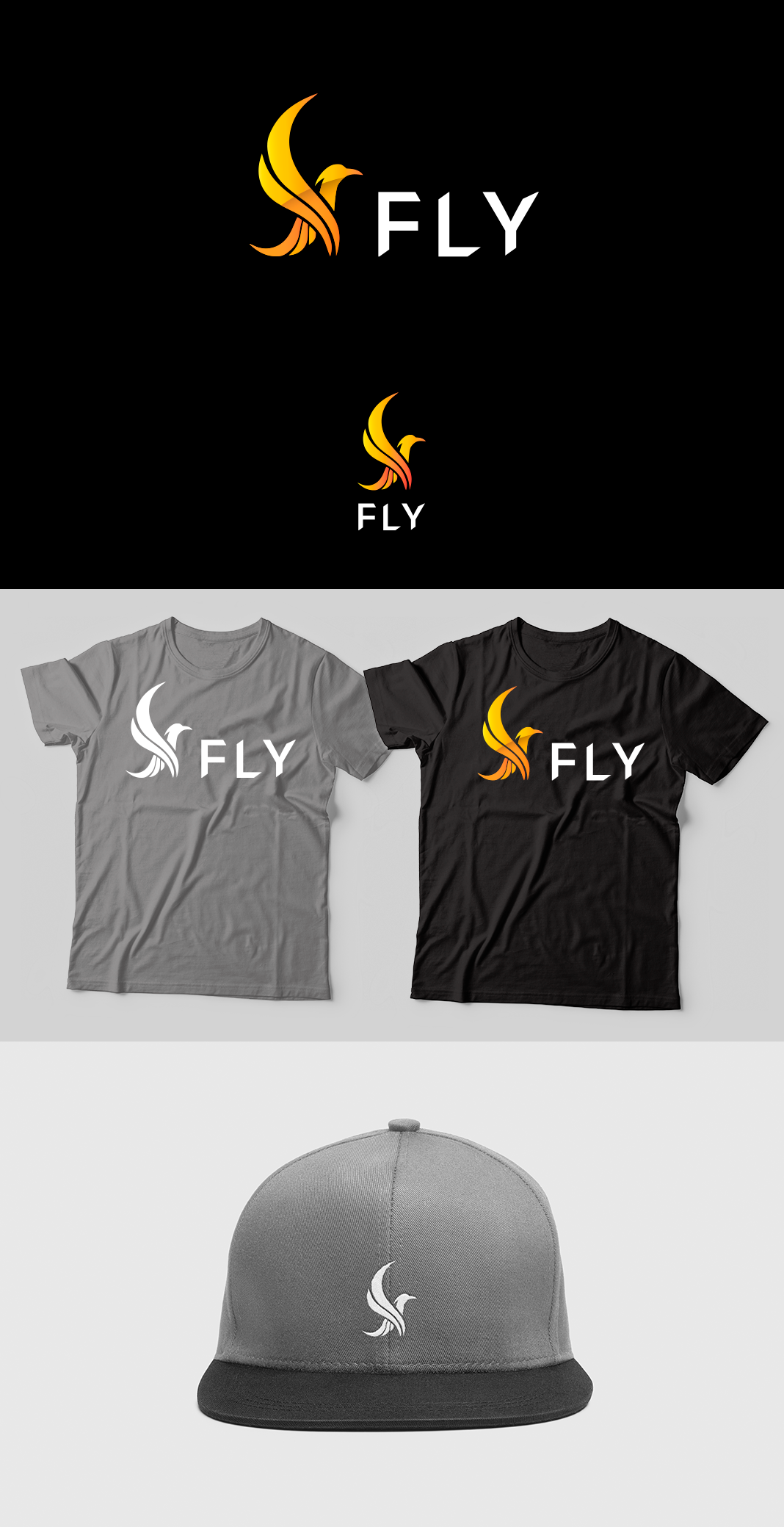 Fly branding visual 1