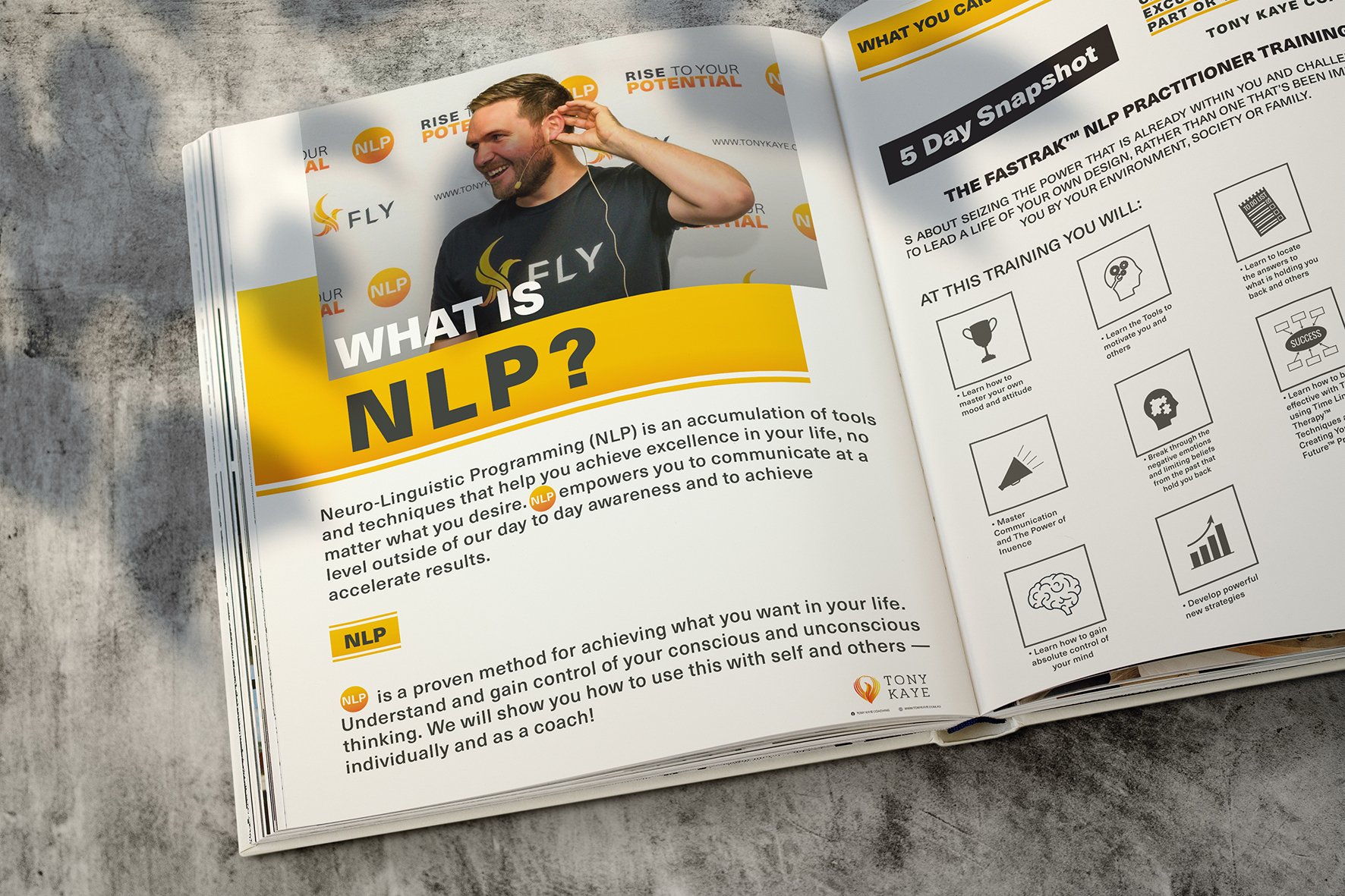 Fly branding visual 2