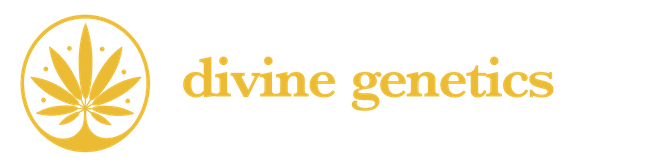 divine genetics