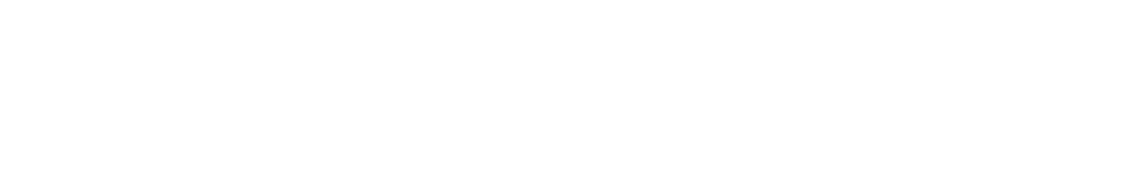 TRANSVECTO LOGISTICS logo