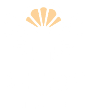 Logo Deljoy