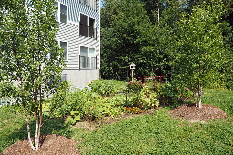 Haydenberry Commons Gallery