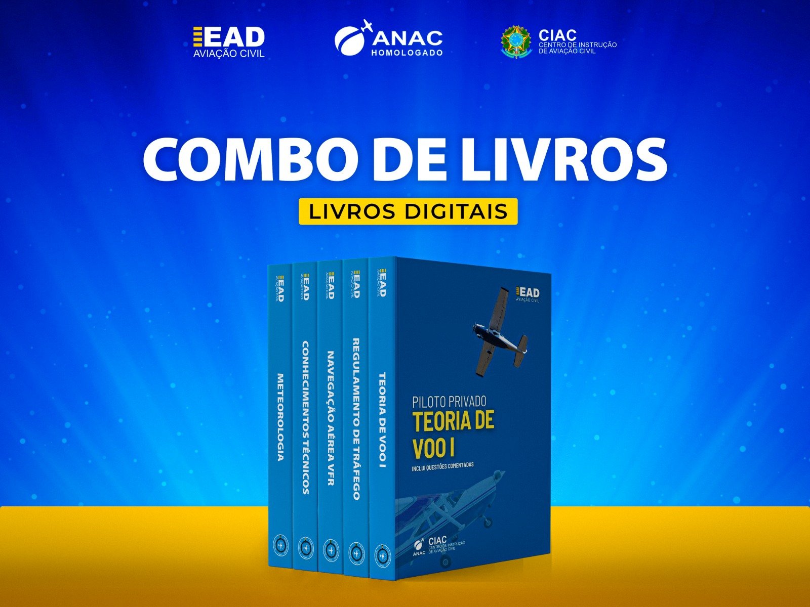 Regulamentos de Tráfego Aéreo. Voo por Instrumentos, Avião e Helicóptero,  Piloto, Instrumentos e Linha Aérea: 9788586262401: : Books