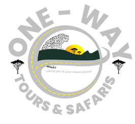 Taking you to your dream places