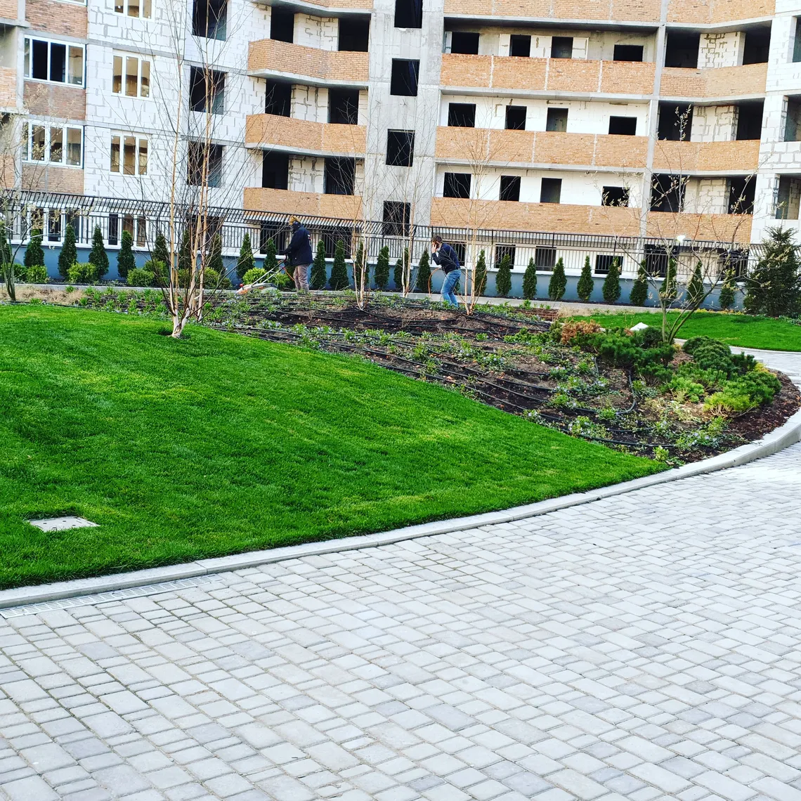 ландшафтні роботи в Києві