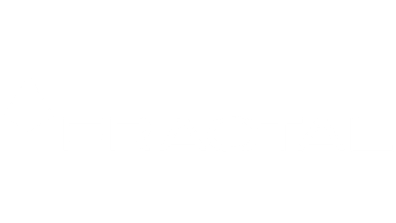 Netpeak group logo white