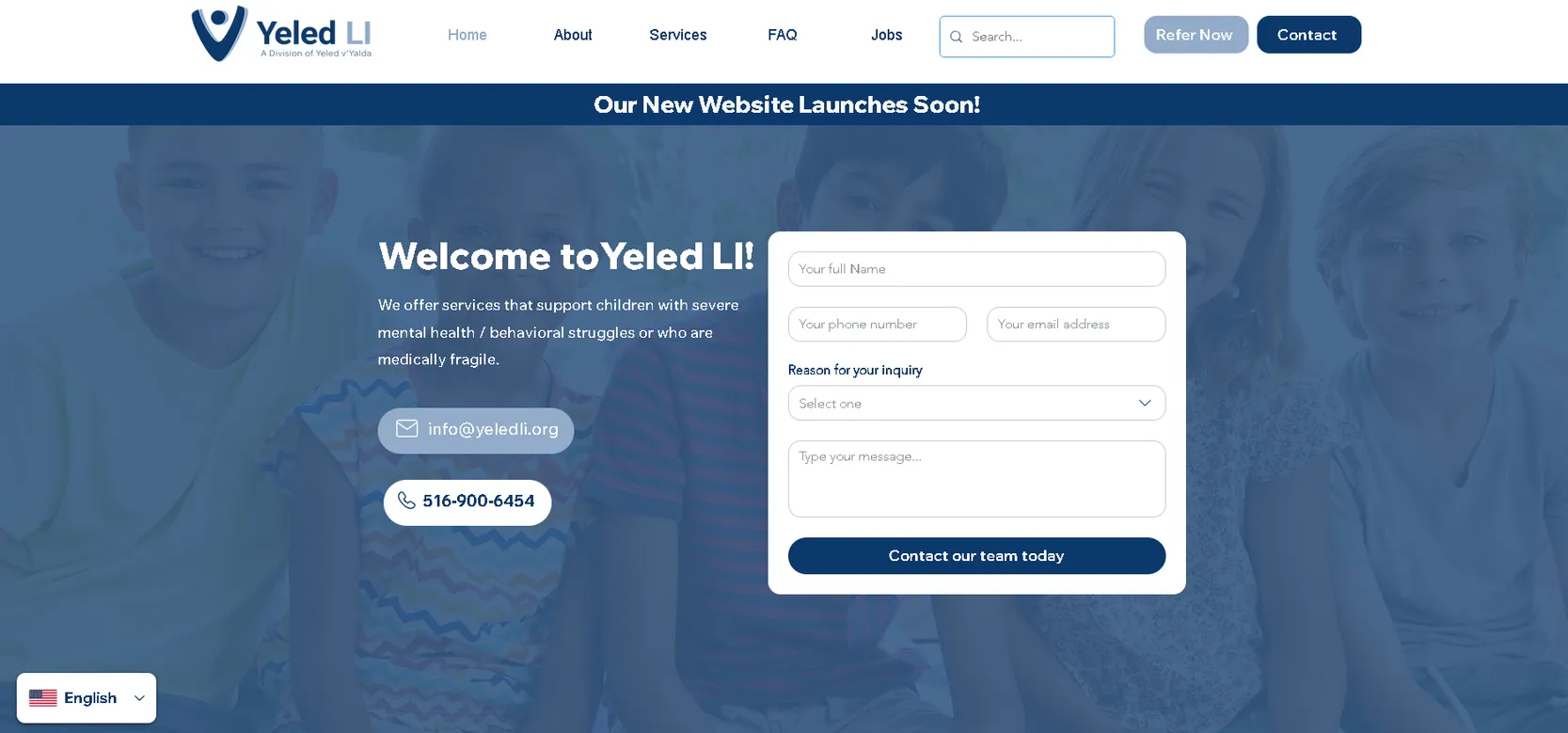 The website before the redesign