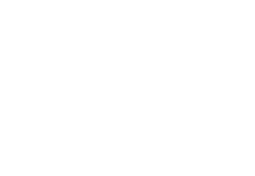 Feline Foundation Logo