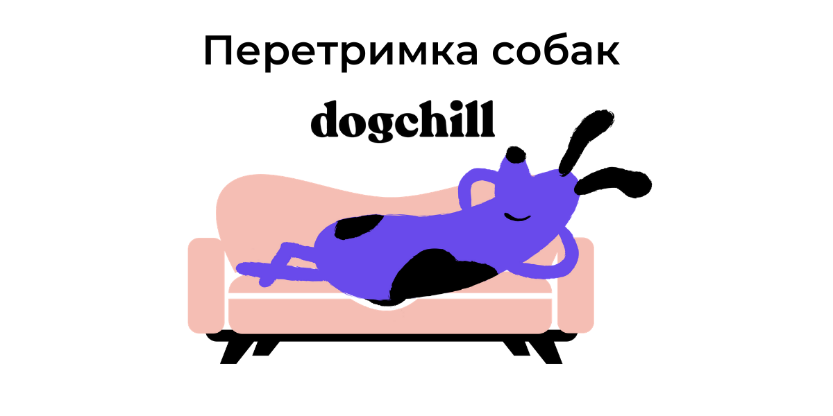 Чи можна залишити собаку на перетримку?