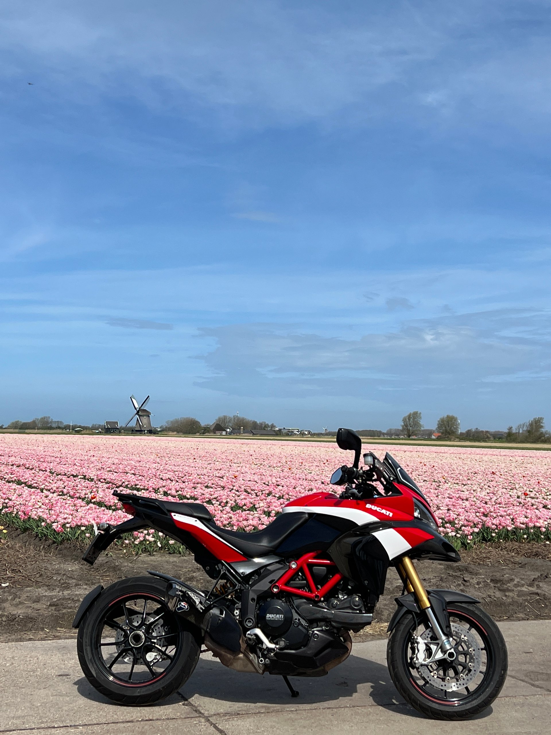 Motor naast een bloeiend bollenveld met een molen op de achtergrond