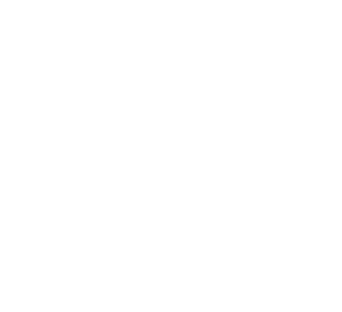 Українська Асоціація Гуманітарного Розмінування лого 