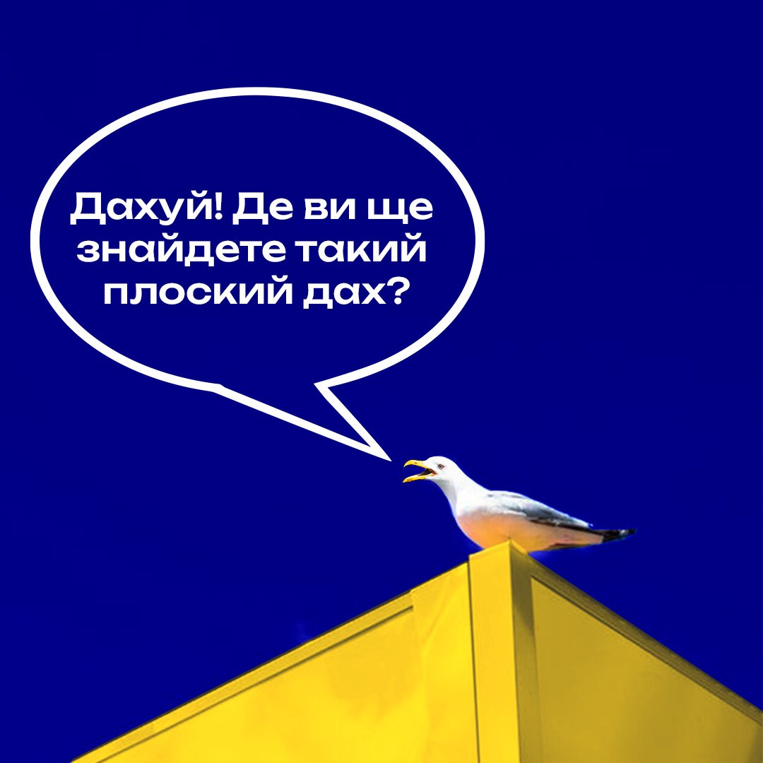 Дахуй! Плоскі дахи для класних людей