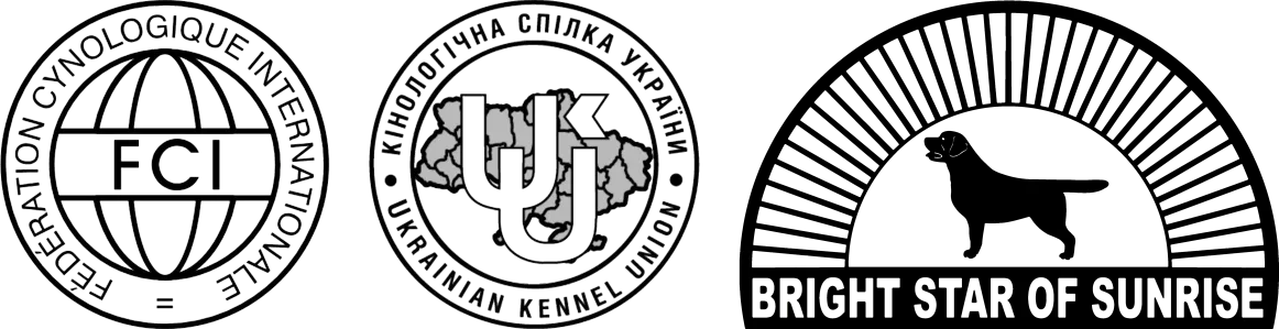 BRIGHT STAR OF SUNRISE