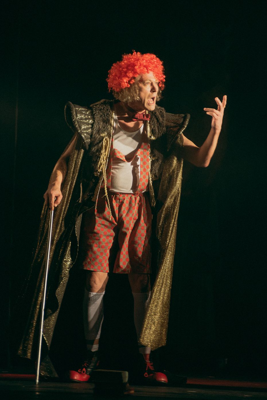 Фредді, або хто вбив баронесу?