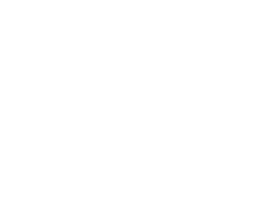 Логотип партнера