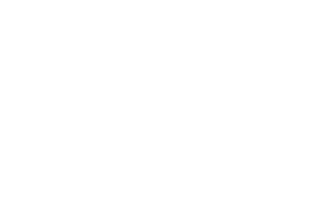 Логотип партнера