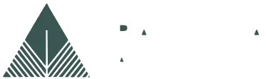 Palatka Agency Logo