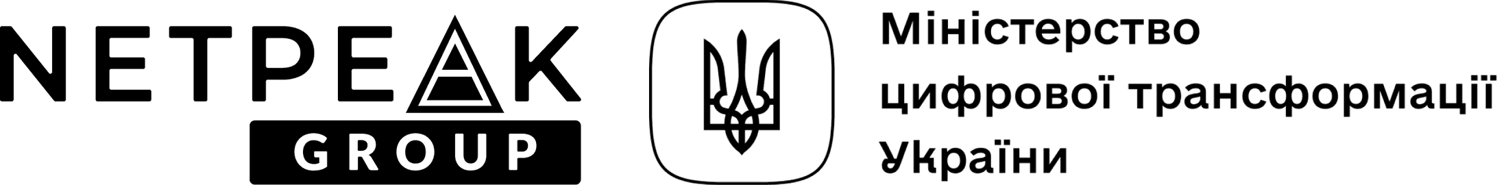 Netpeak Group лого синє