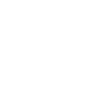 Sonia McRorey Logo para Asesoria de Imagen de America latina