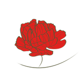 <img src="dobryvoZhyvokrykhta3.jpg" alt="Органічне добриво Живокрихта">