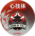 SHIN GI TAI