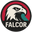 falcor-consulting.net favicon