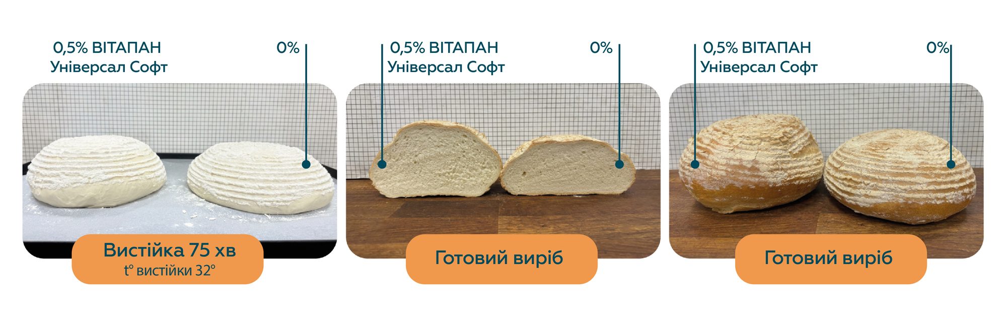 Тісто й готовий хліб з 0,5% ВІТАПАН Універсал Софт і без поліпшувача (0%): вистійка 75 хв при 32 °C, готовий виріб у розрізі та цілий