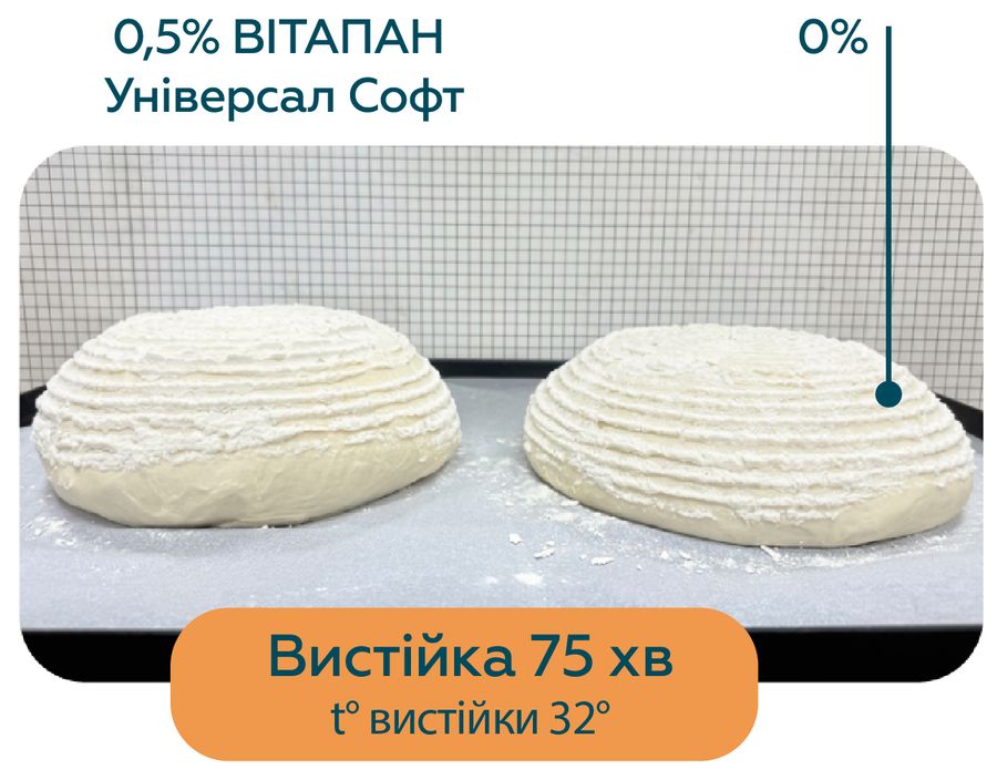 Вистійка 75 хв при 32 °C: тісто з 0,5% ВІТАПАН Універсал Софт і без поліпшувача
