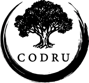 CODRU — український виробник інженерної та масивної паркетної дошки