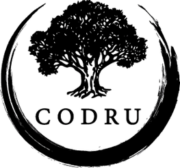 CODRU — виробник екологічного паркету та дерев’яних підлогових покриттів в Україні