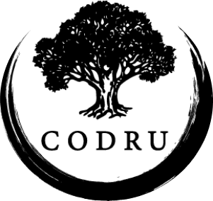 CODRU — преміальна паркетна дошка та вироби з натуральної деревини