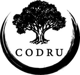 CODRU — екологічна та довговічна дерев’яна підлога