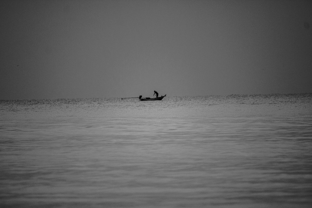 Texture de la pêche réelle