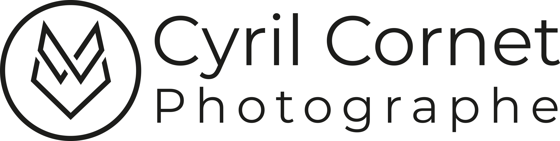 logo