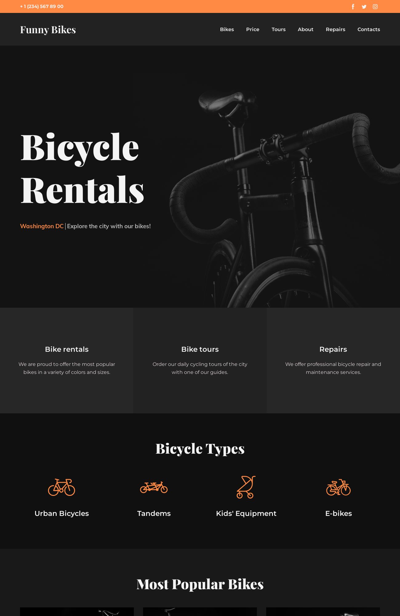 Bicycle Rentals