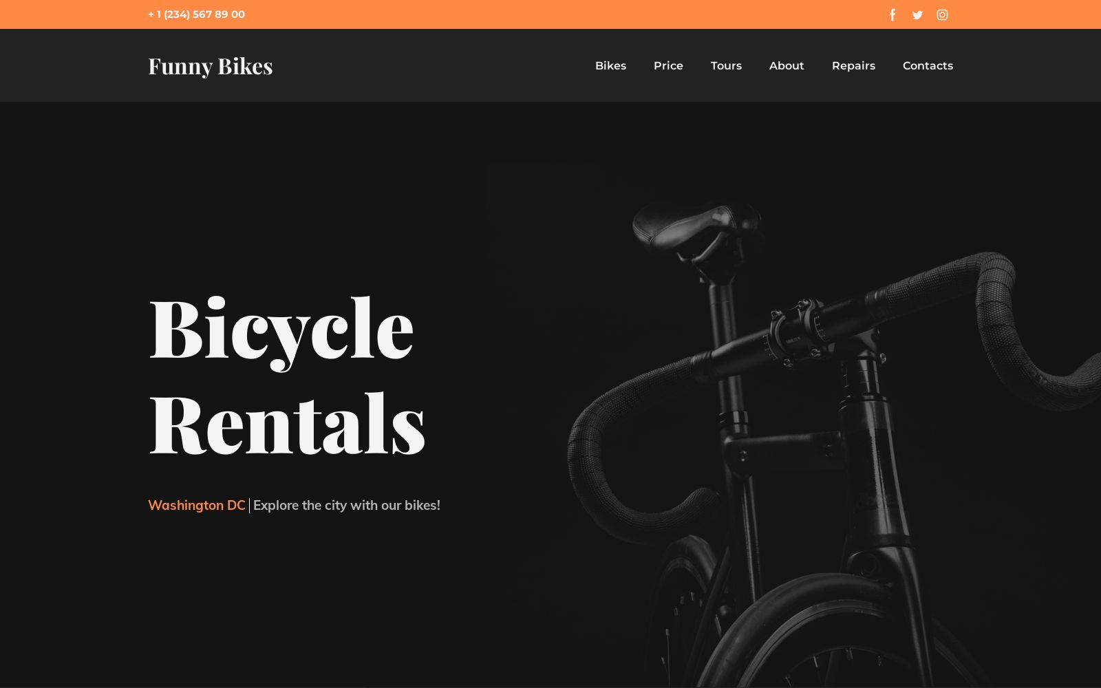 Bicycle Rentals