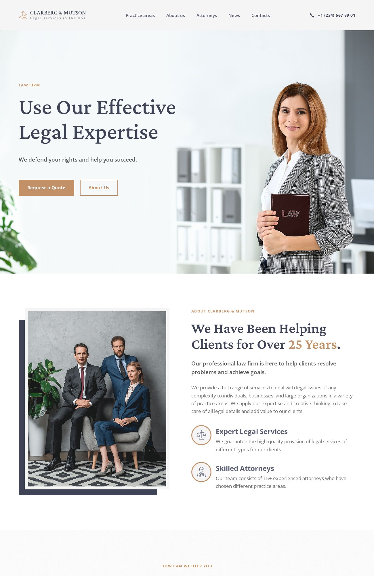 Law Firm template