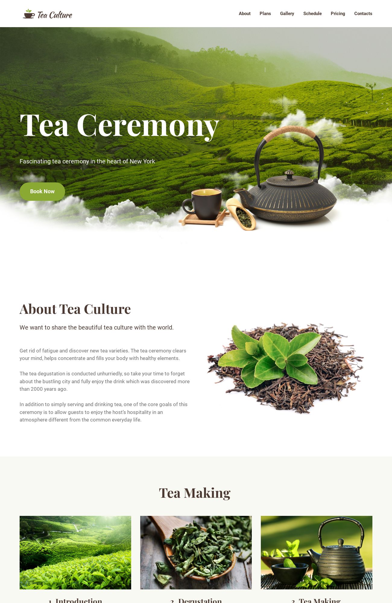 Tea Ceremony template