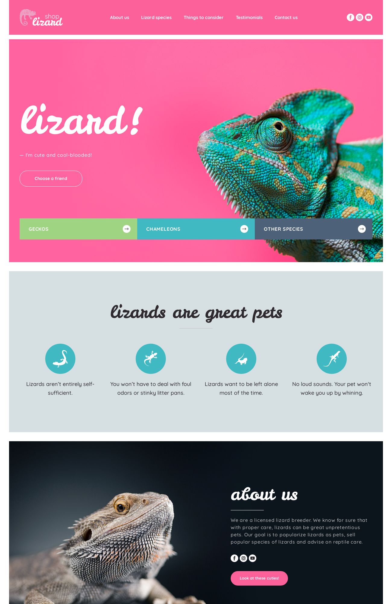 Éleveur de lézards modèle