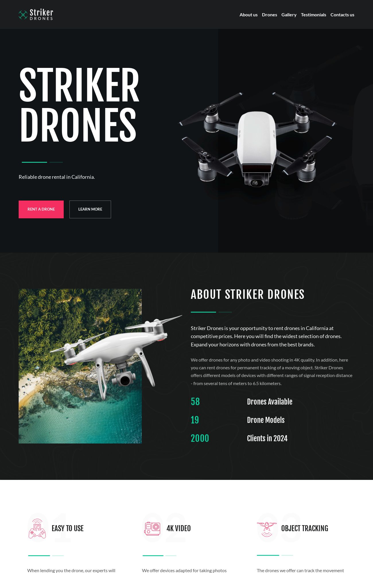 Drones Rental template