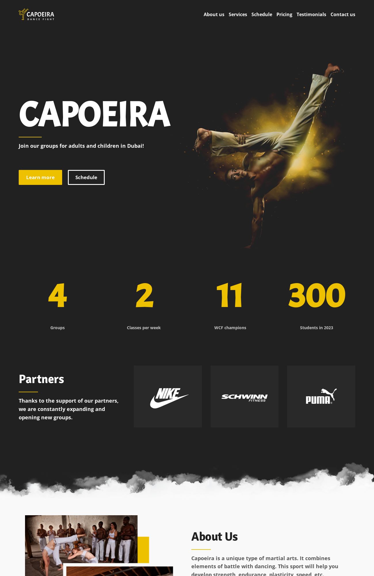 Capoeira School template